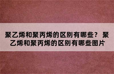 聚乙烯和聚丙烯的区别有哪些？ 聚乙烯和聚丙烯的区别有哪些图片